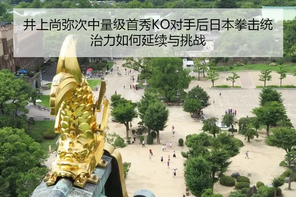 jing-shang-shang-mi-ci-zhong-liang-ji-shou-xiu-dui-shou-hou-ri-ben-quan-ji-tong-zhi-li-ru-he-yan-xu-yu-tiao-zhan-2-115.jpg