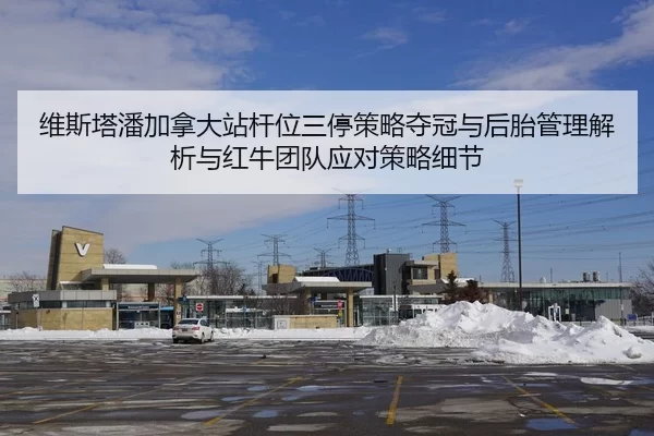 维斯塔潘加拿大站杆位三停策略夺冠与后胎管理解析与红牛团队应对策略细节